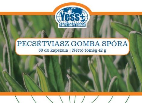 pecsetviaszgomba_spora.jpg